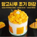 시루시루7