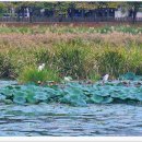 안산 화랑유원지 이미지