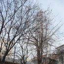세진종합시설관리