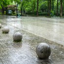 서울숲5 이미지