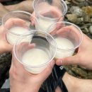 몬티첼로1 이미지