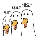 박가삼거리부대찌개 이미지