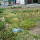 일운초등학교 병설유치원 이미지