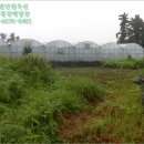 남원읍-5 이미지