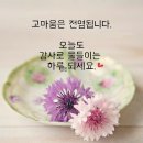 삶은 베푼 만큼 되돌려 받게 되는 마이다스의 손이다. 이미지