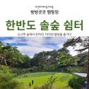 소나무 숲 힐링 캠핑! 아이 &amp; 반려견과 함께하는 한반도 솔숲 쉼터 캠핑장 소개