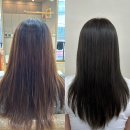 란미용실 | 부산 서면 미용실 제이진헤어 염색 후기 (ft.란 디자이너)