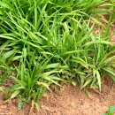 길상초등학교 이미지