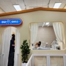 댕글하우스 이미지