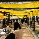 곡성 돌담집 이미지