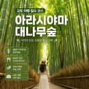 초록풍경 | 아라시야마 대나무숲 산책 후기, 교토에서 만난 초록빛 풍경
