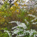 삼평어린이공원 이미지