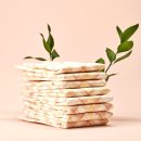 강아지세상 | 반려세상 강아지 기저귀 50매 후기 – 중형 수컷·암컷 모두 편안한 팬티형 생리대