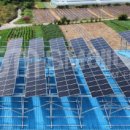 동 태양광발전소 이미지