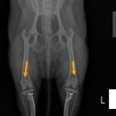 마로동물병원 이미지