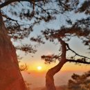 산 태권도장 이미지