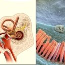 금호튼튼한의원 이미지
