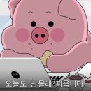 스테이 누누 이미지