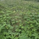 뉴신도공인중개사사무소 이미지