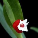 티지나SM 이미지