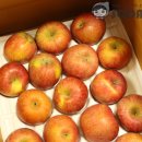 이정이농장 이미지