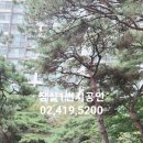 잠일병설유치원 이미지