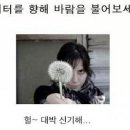메물올리실때한번쯤확인하세요. 이미지