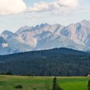 정동 행정사 사무소 이미지