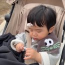 뿌띠보보