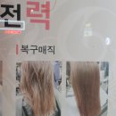 수연헤어팜