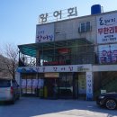 내서 민물 횟집 내가 먹으러 가는 감천향어집 후기 :)