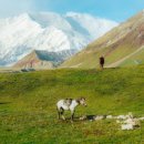 이태원 PC&COOK 이미지