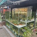 타니의다육공방