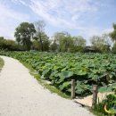 백제모텔 이미지