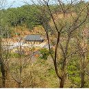 제주불교성지 순례길 절로 가는길 - 보시의 길 이미지