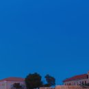 도그마미 이미지