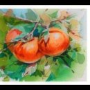 수채화 A반 이미지