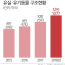 냥이댕이 이미지