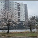 우시장천 이미지