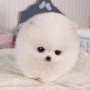 일오삼동물병원 이미지