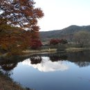 우암산순환로 이미지