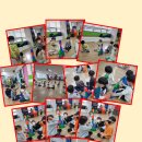 태권도 오송 정도장 이미지