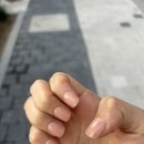 요거프레스 | [셀프웨딩네일💅] 데싱디바 매직프레스 솔직후기| 아낄건 아끼자💵 | 내돈내산