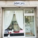 오로라애견 이미지