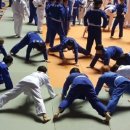 용인대 제일 유도관 이미지