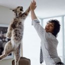 경기도 수원시 장안구 천천로 이미지