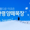 정이목장 이미지