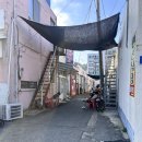 서산로 | 🐟 [목포 맛집] 입안 가득 바다 내음! 시화마을 근처 '만선식당' 솔직 후기