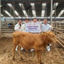 진흥축산 이미지