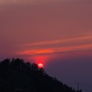 스테이너와 이미지